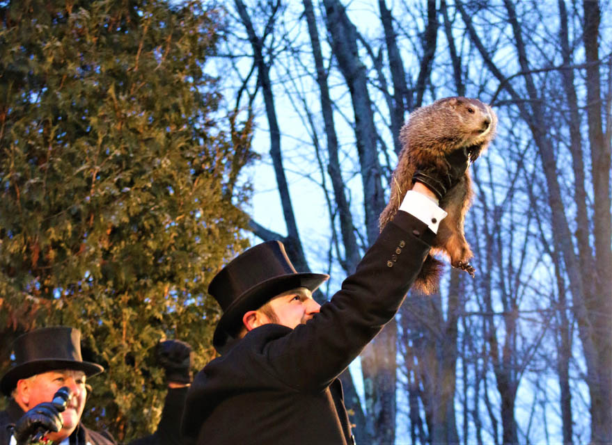 a person holding groundhog in hand