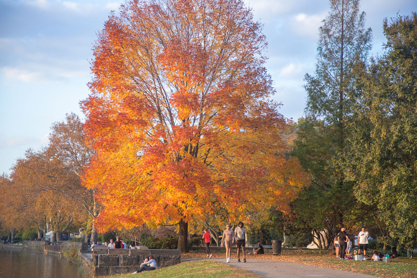 Park goers walking thru fall foliage at Fairmount Park