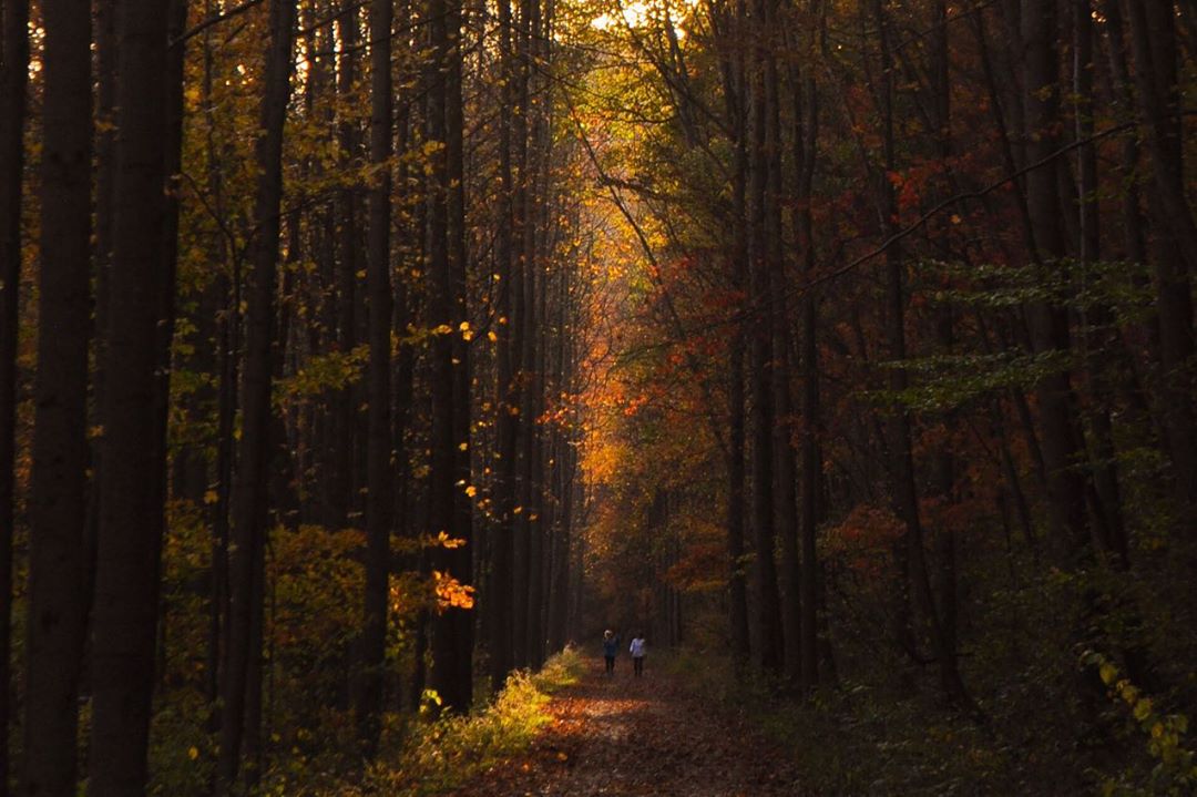 Great Allegheny Passage
