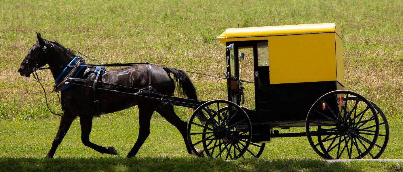 Amish Horse Buggy