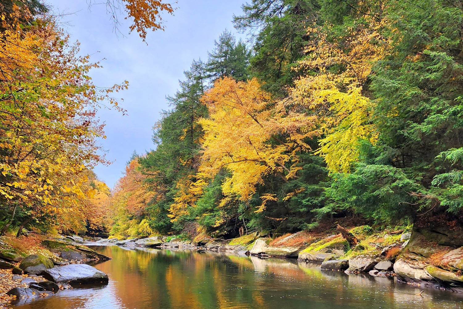 Fall foliage on both sides of the Creek