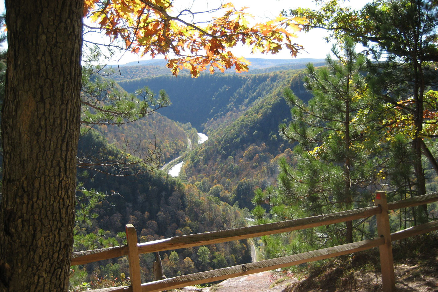 Pine Creek Gorge Overlook