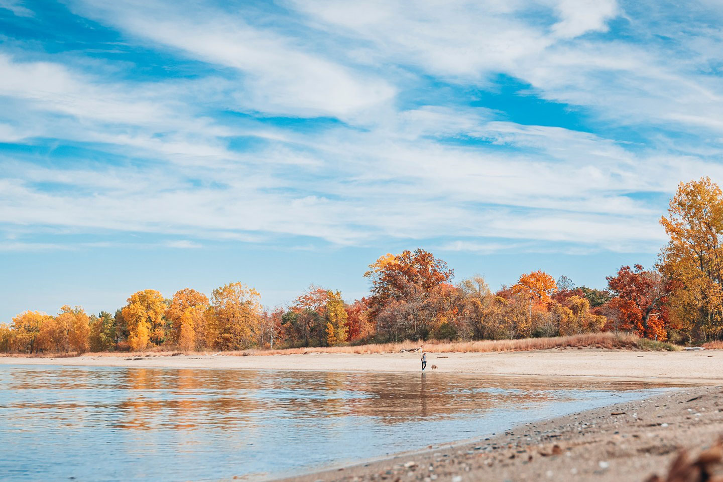 Beautiful Fall Foliage by lake beach