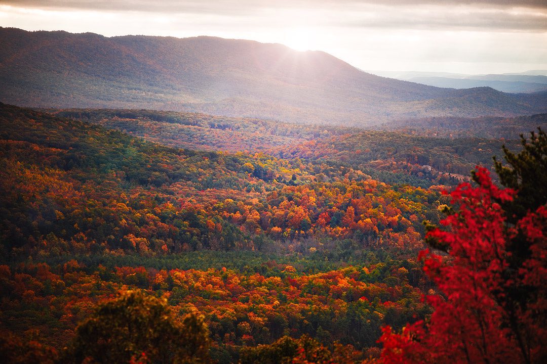 Beautiful scenic fall foliage view RothRock state Park