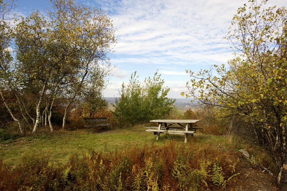 Scenic Fall foliage at Big Pocono State Park