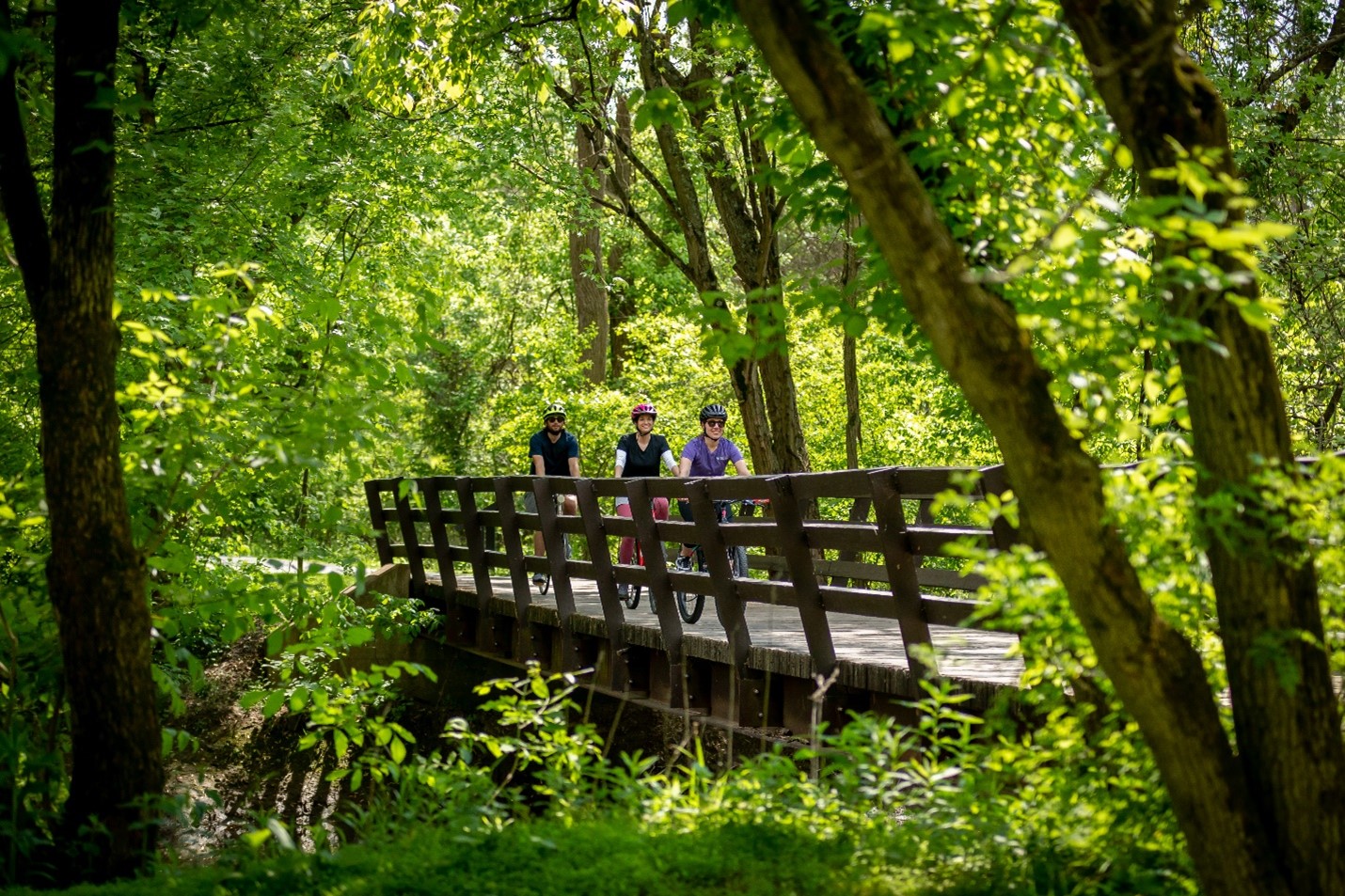 patrons biking over a bridge thru woods