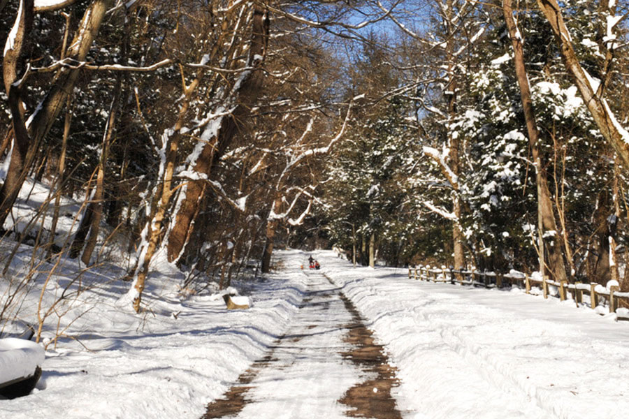 wissahickon valley park trail covered with snow