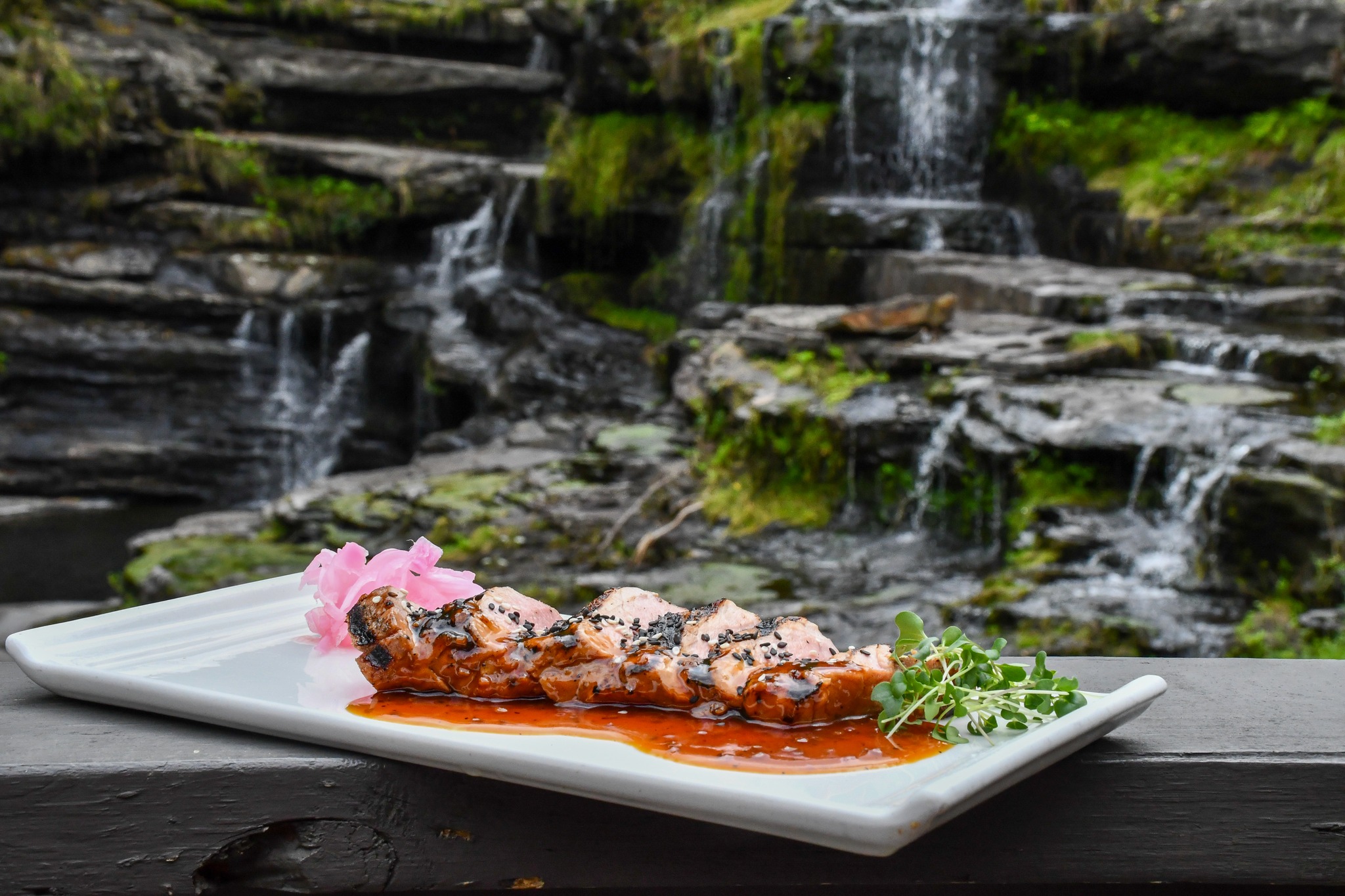 steak served on plate with waterfalls view