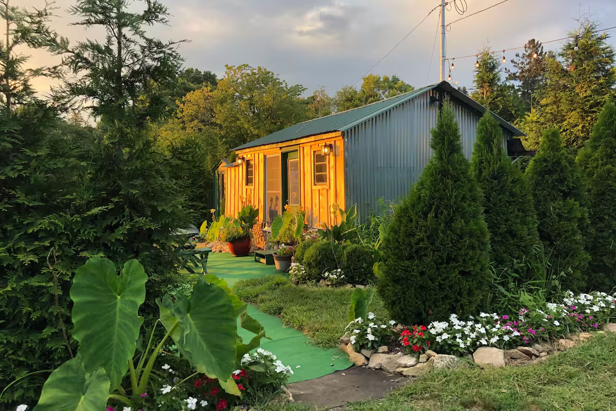 A house surrounded by trees and plants