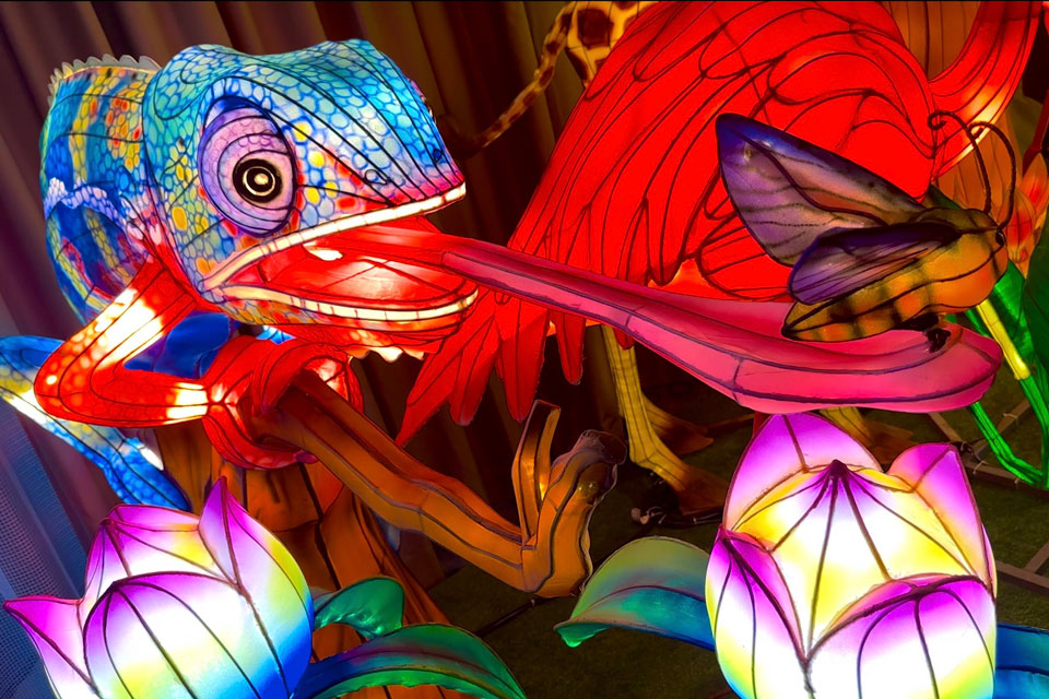 glowing lizard lantern