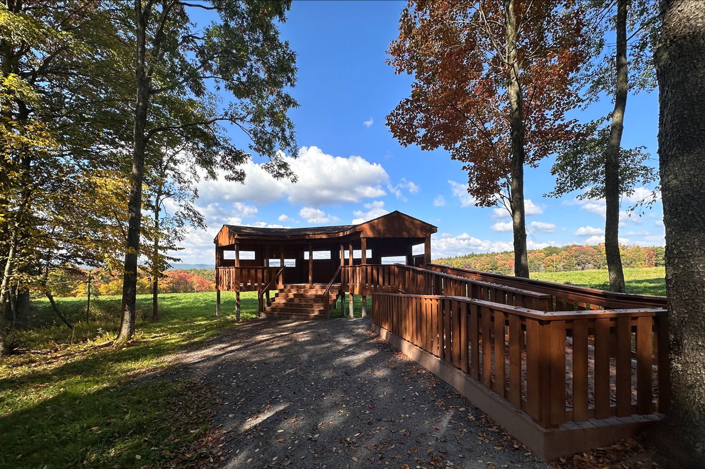 scenic view deck with accessible path surrounded by trees