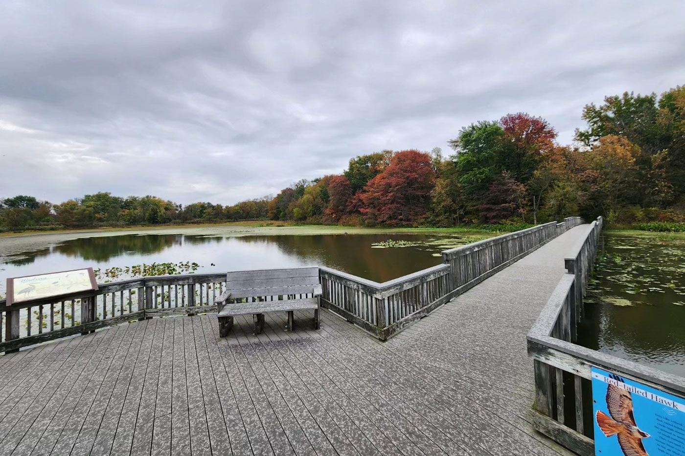 Wooden walkway and bench overlooking a lake with autumn trees under a cloudy sky.