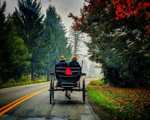 Amish buggy