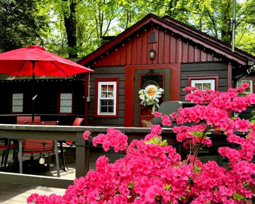 Exterior of log cabin in spring