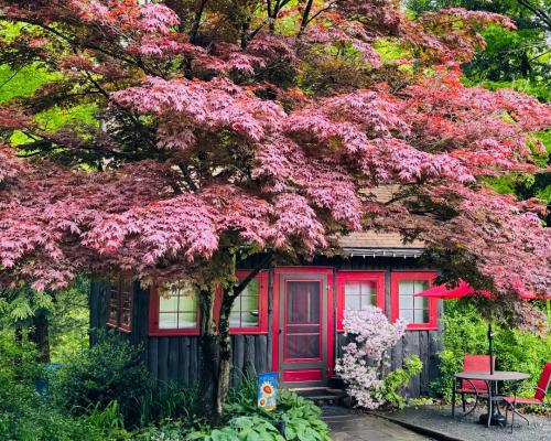 Exterior of cottage in the spring