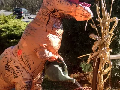 T-Rex Tuesdays